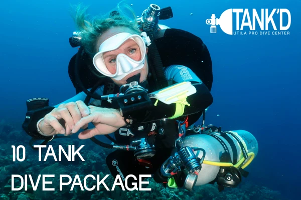 10 Tank Dive Package Utila