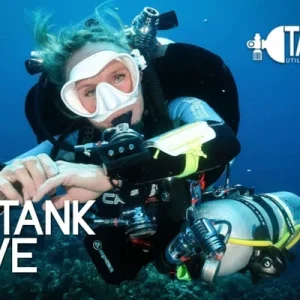 2 Tank Dive Utila
