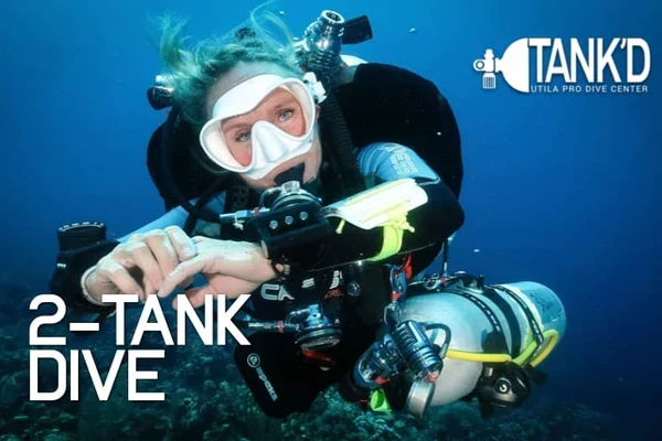 2 Tank Dive Utila