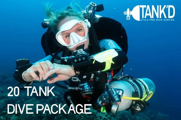 20 Tank Dive Package Utila