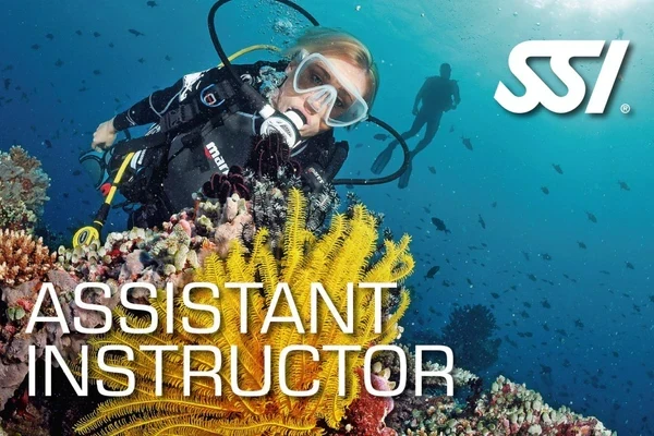 Assistant Instructor Course Utila