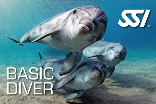 Basic Diver Course Utila