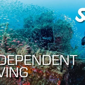 Independent Diving Course Utila
