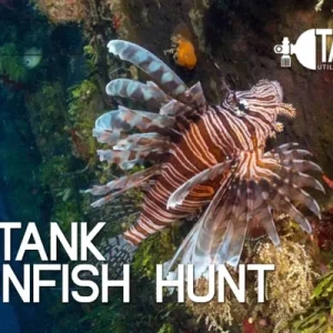 Lionfish Hunt Fundive Utila
