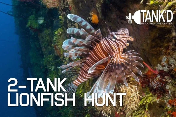Lionfish Hunt Fundive Utila