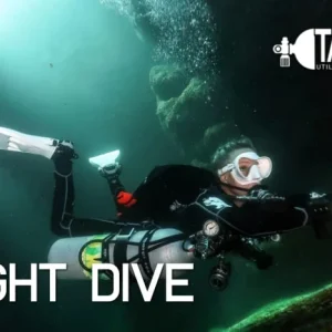 Night Dive Utila