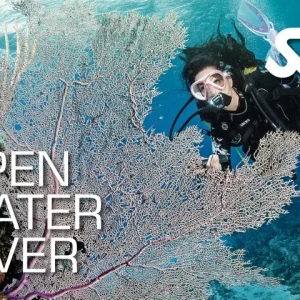 Open Water Diver Course