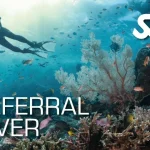 Referral Diver Course