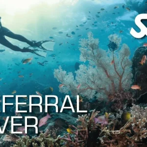 Referral Diver Course