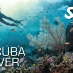 Scuba Diver Course