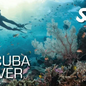 Scuba Diver Course