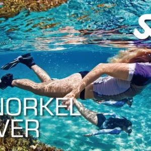 Try Snorkeling
