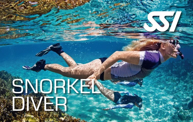 Try Snorkeling