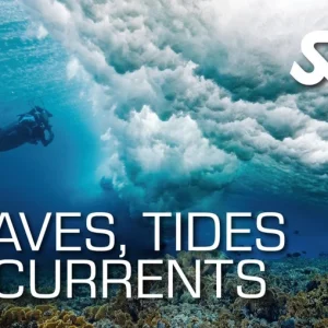 Waves Tides Currents Course Utila